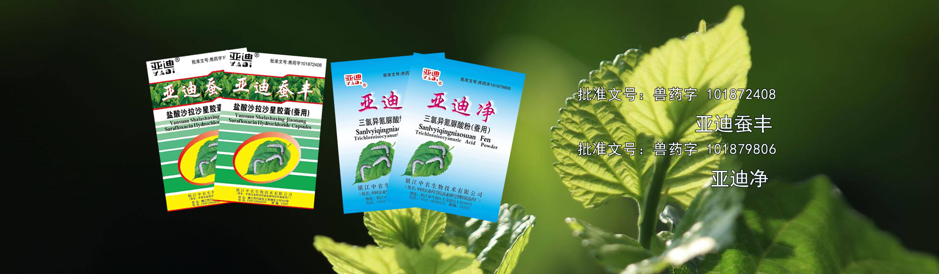 安徽中電電氣有限公司