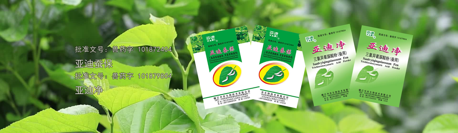 安徽中電電氣有限公司